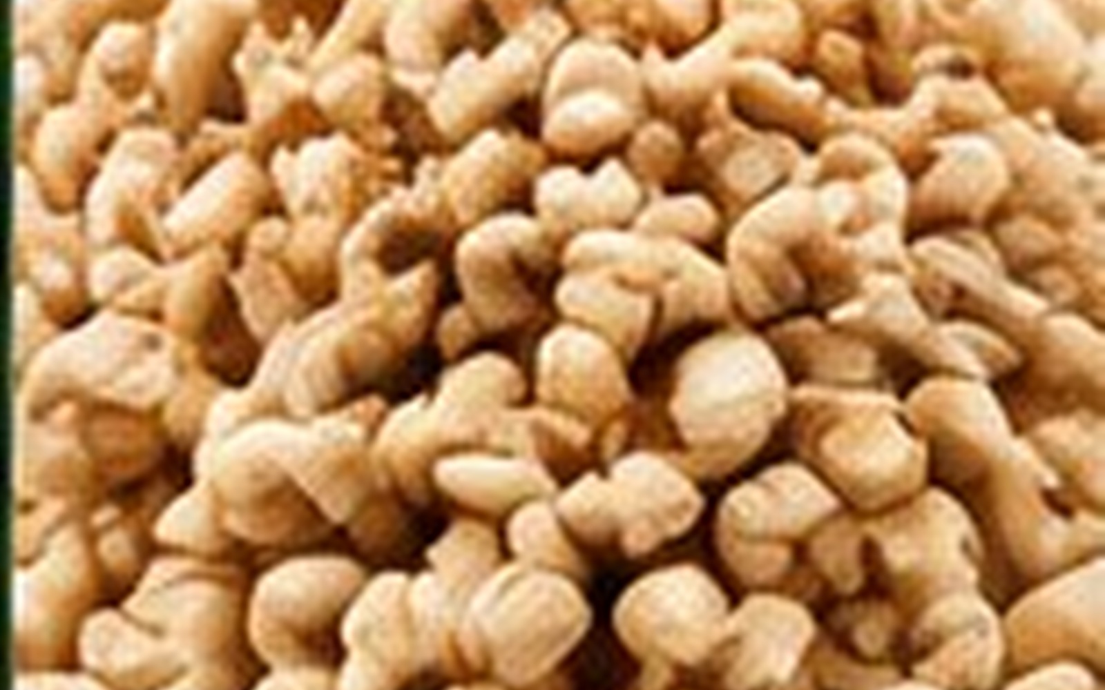 Indian cashew kernels close up